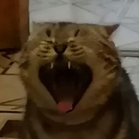 Карташев Михаил