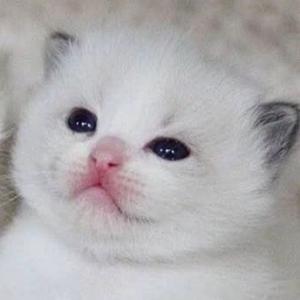 6666