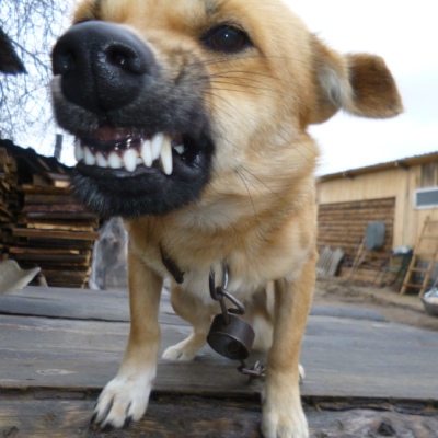 Евгений Жданов