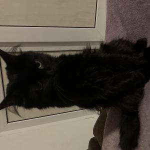 Slava02032000