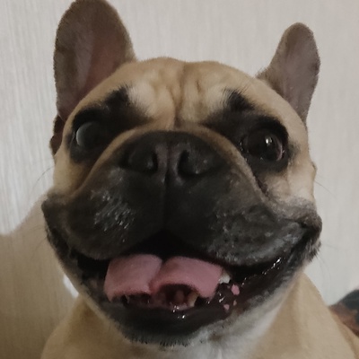 Артур Мазан