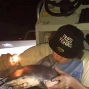 Марк Куторов