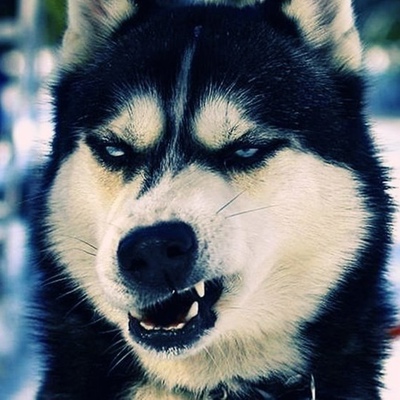 Эдуард Котов