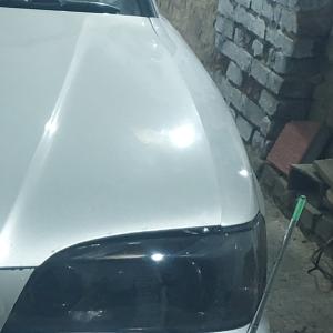 Vit231093