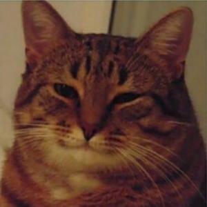 katekate