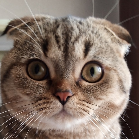 Михаил Потемкин