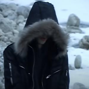 гусь сын гавна